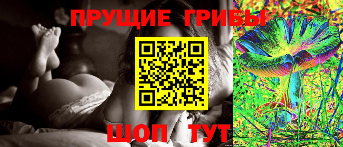 Псилоцибиновые грибы GOLDEN TEACHER  Галлюциногенные грибы мицелий  Курск  Вход с VPN 