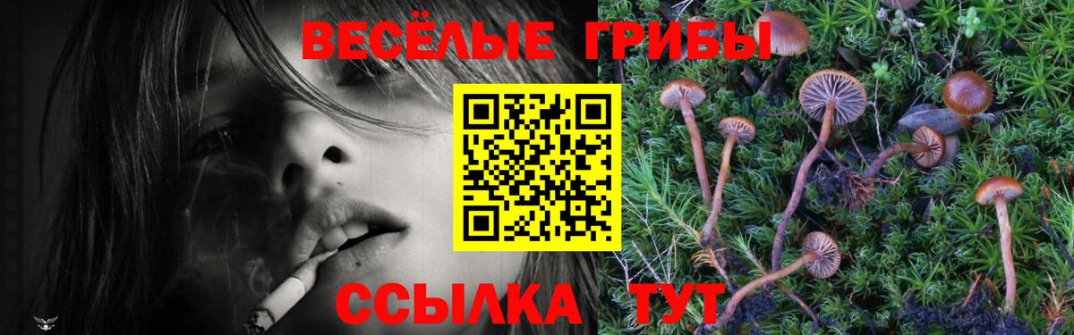 Псилоцибиновые грибы ЛСД Курск